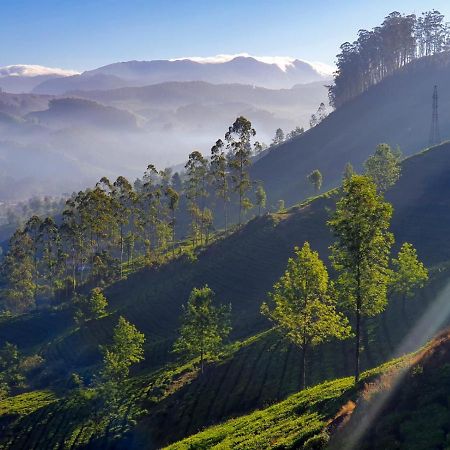 Grace Inn Munnar Homestay Bagian luar foto