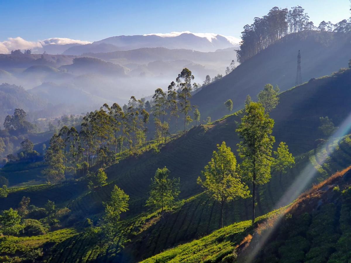 Grace Inn Munnar Homestay Bagian luar foto